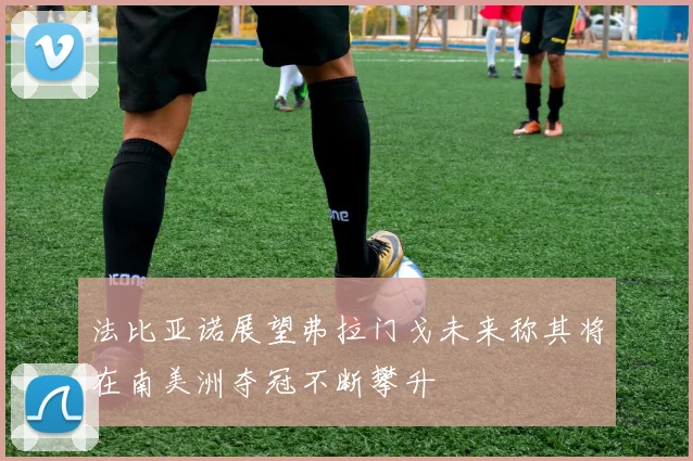法比亚诺展望弗拉门戈未来称其将在南美洲夺冠不断攀升